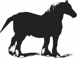 Russian Heavy Draft horse decal
